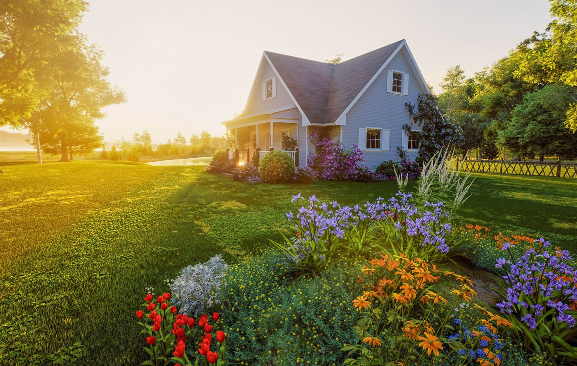 A house in evening light with a garden